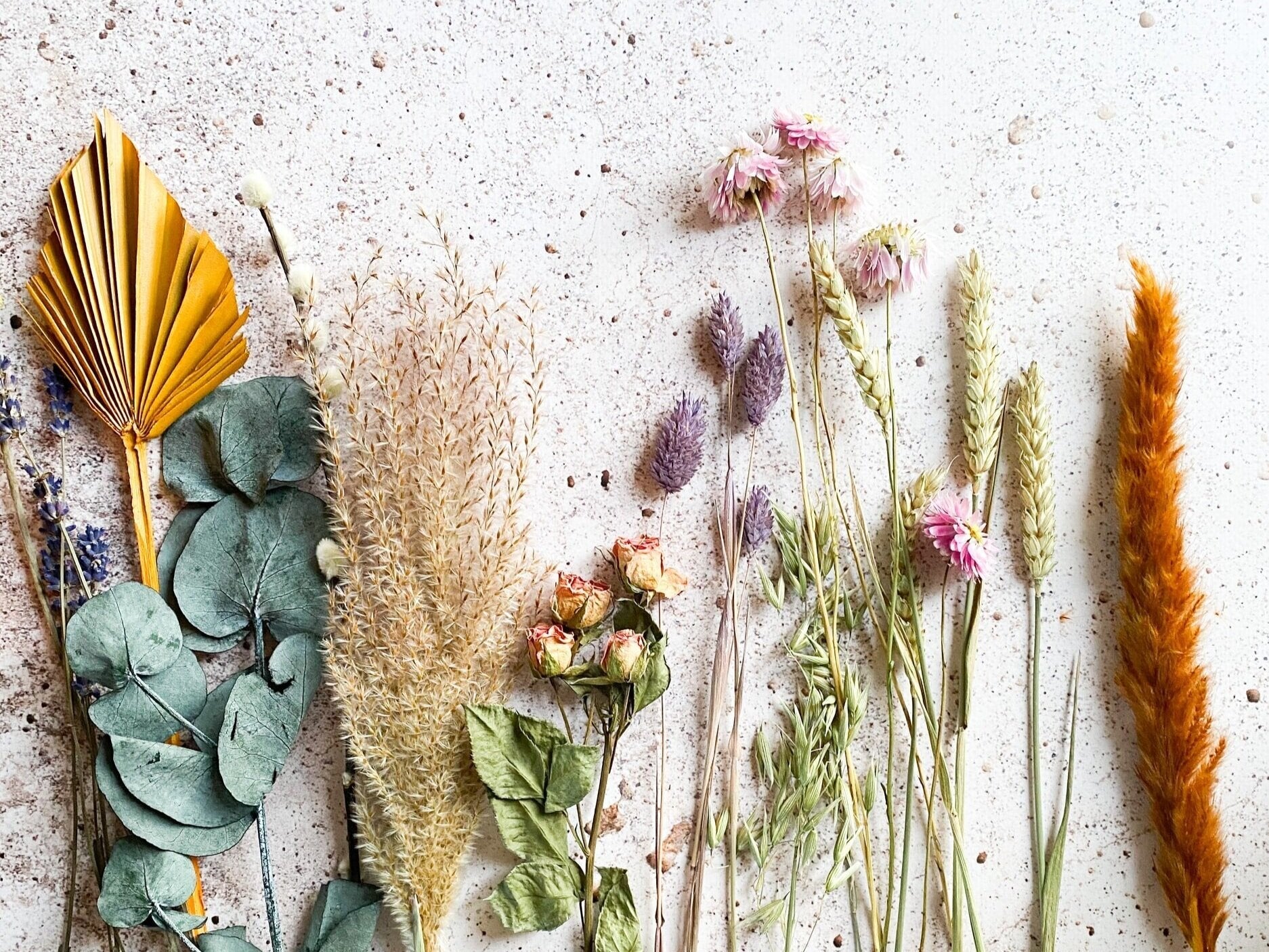 Focus sur la nouveauté IOKKO : la bougie aux fleurs séchées